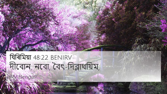 যিৰিমিয়া 48:22 BENIRV Bible Verse Image