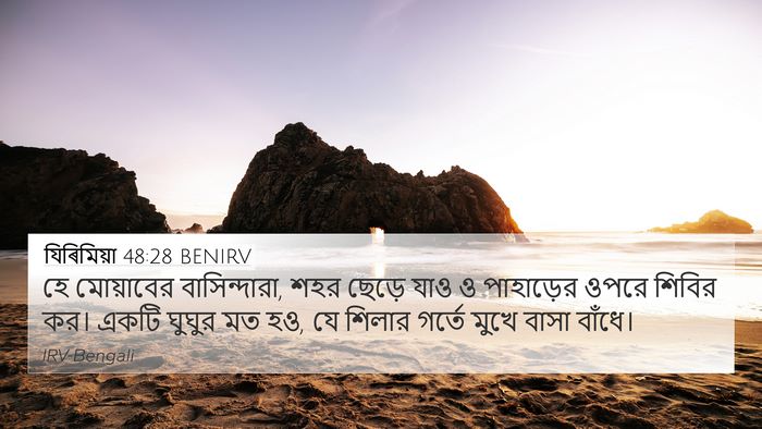 যিৰিমিয়া 48:28 BENIRV Bible Verse Image