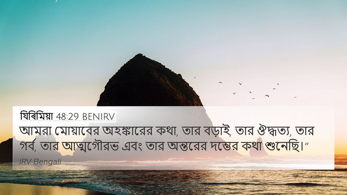 যিৰিমিয়া 48:29 BENIRV Bible Verse Image