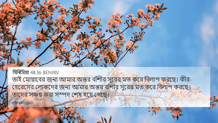 যিৰিমিয়া 48:36 BENIRV Bible Verse Image