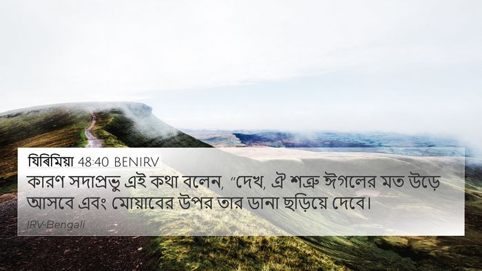 যিৰিমিয়া 48:40 BENIRV Bible Verse Image