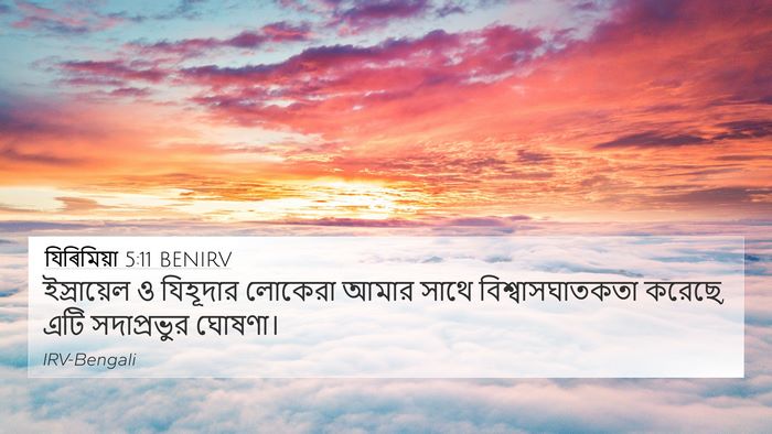 যিৰিমিয়া 5:11 BENIRV Bible Verse Image