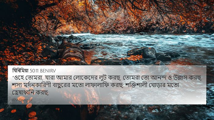 যিৰিমিয়া 50:11 BENIRV Bible Verse Image