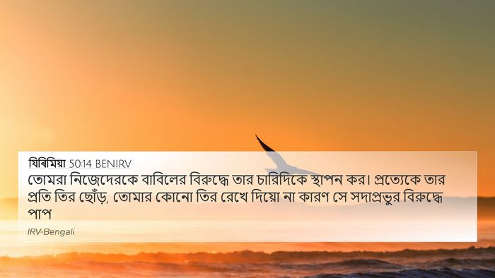 যিৰিমিয়া 50:14 BENIRV Bible Verse Image