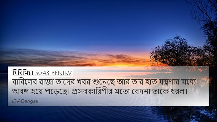 যিৰিমিয়া 50:43 BENIRV Bible Verse Image