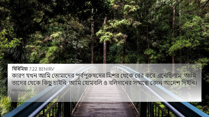 যিৰিমিয়া 7:22 BENIRV Bible Verse Image