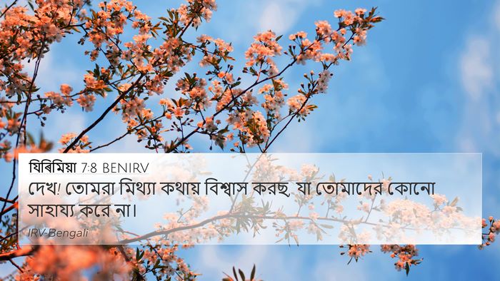 যিৰিমিয়া 7:8 BENIRV Bible Verse Image