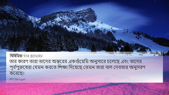 যিৰিমিয়া 9:14 BENIRV Bible Verse Image