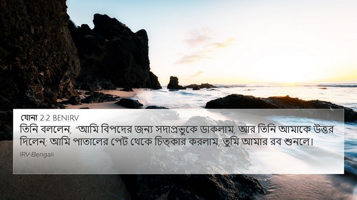 যোনা 2:2 BENIRV Bible Verse Image