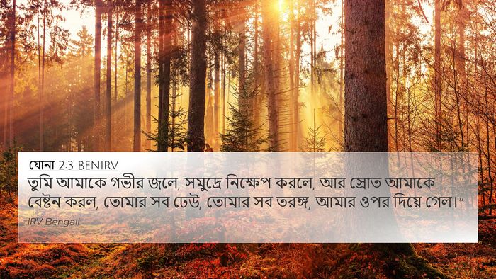 যোনা 2:3 BENIRV Bible Verse Image