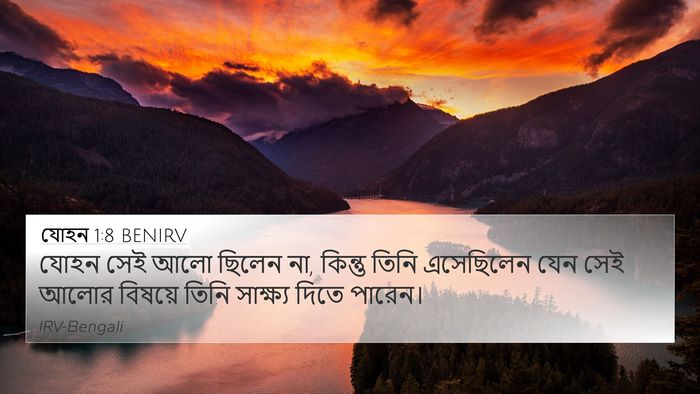 যোহন 1:8 BENIRV Bible Verse Image