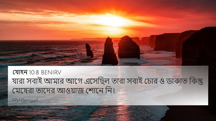 যোহন 10:8 BENIRV Bible Verse Image
