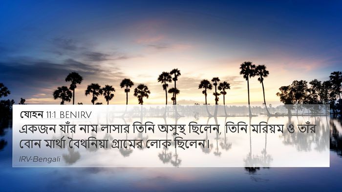 যোহন 11:1 BENIRV Bible Verse Image