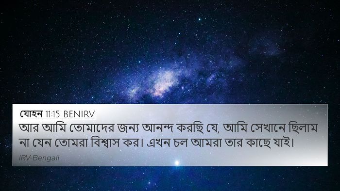 যোহন 11:15 BENIRV Bible Verse Image