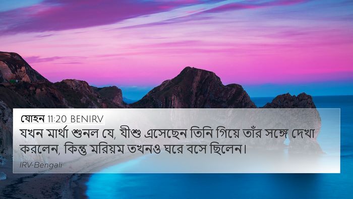 যোহন 11:20 BENIRV 4K Wallpaper - যখন মার্থা শুনল যে, - 4K Wallpaper Bible Verse