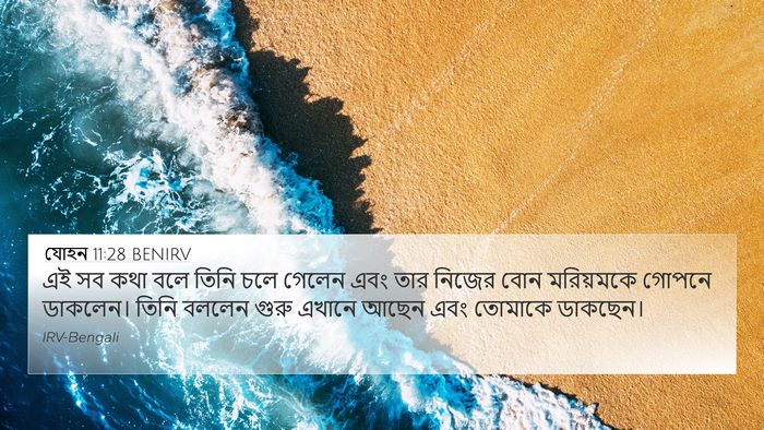 যোহন 11:28 BENIRV Bible Verse Image