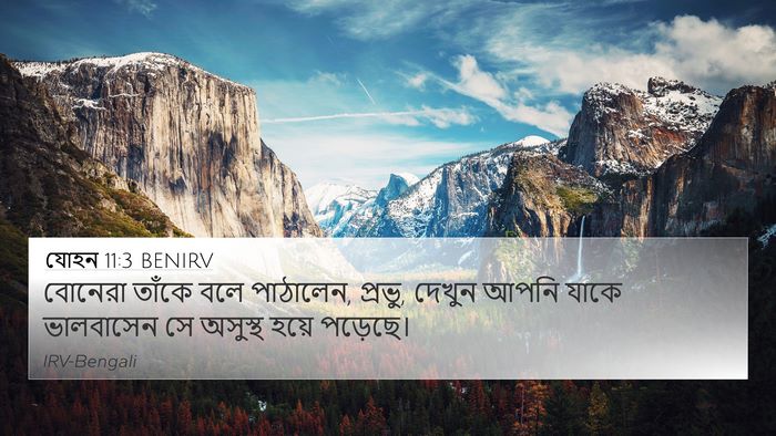 যোহন 11:3 BENIRV Bible Verse Image