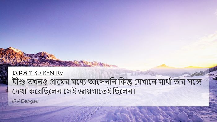 যোহন 11:30 BENIRV Bible Verse Image