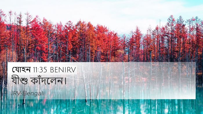 যোহন 11:35 BENIRV Bible Verse Image