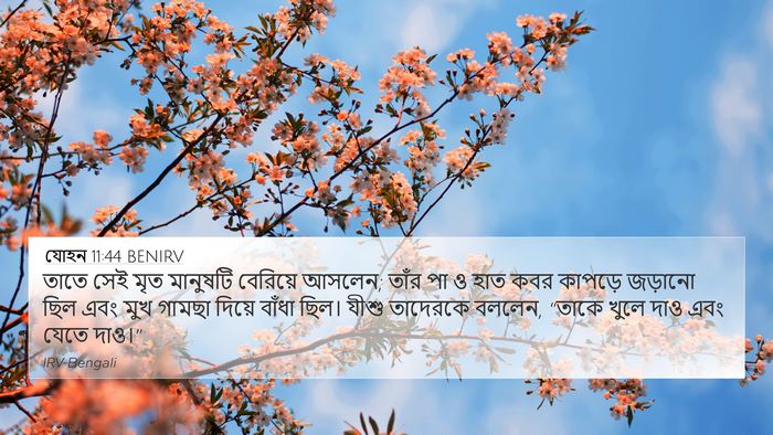 যোহন 11:44 BENIRV Bible Verse Image