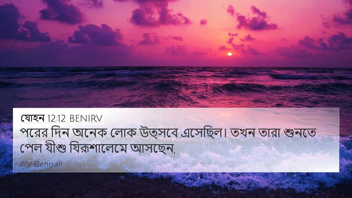 যোহন 12:12 BENIRV Bible Verse Image