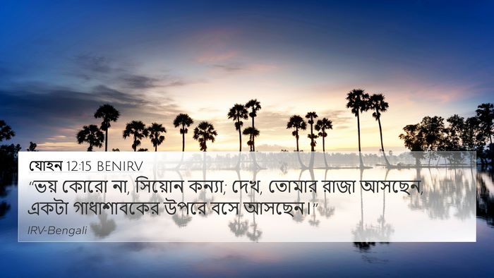 যোহন 12:15 BENIRV Bible Verse Image