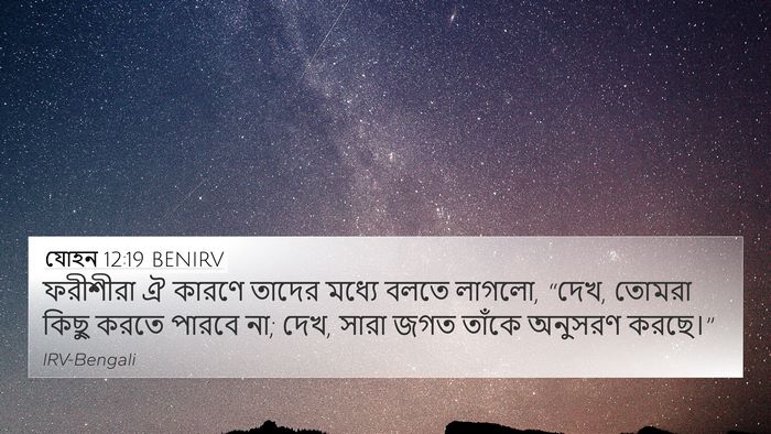 যোহন 12:19 BENIRV Bible Verse Image
