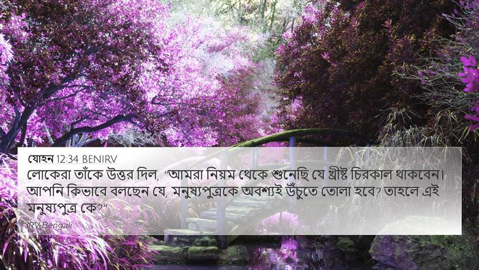 যোহন 12:34 BENIRV Bible Verse Image