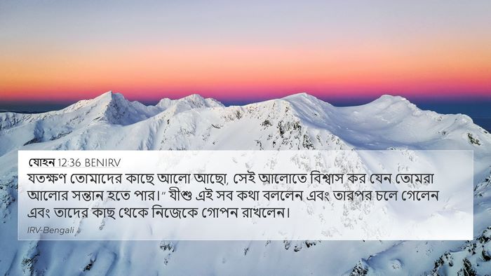 যোহন 12:36 BENIRV Bible Verse Image