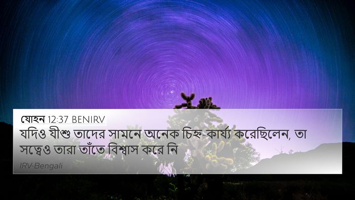 যোহন 12:37 BENIRV Bible Verse Image