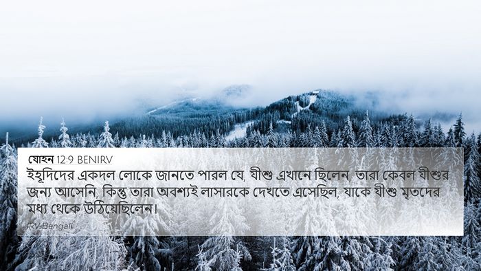 যোহন 12:9 BENIRV Bible Verse Image