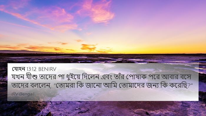 যোহন 13:12 BENIRV Bible Verse Image