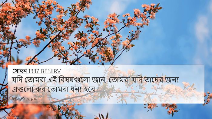 যোহন 13:17 BENIRV Bible Verse Image