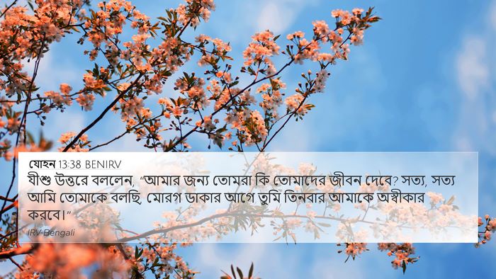 যোহন 13:38 BENIRV Bible Verse Image