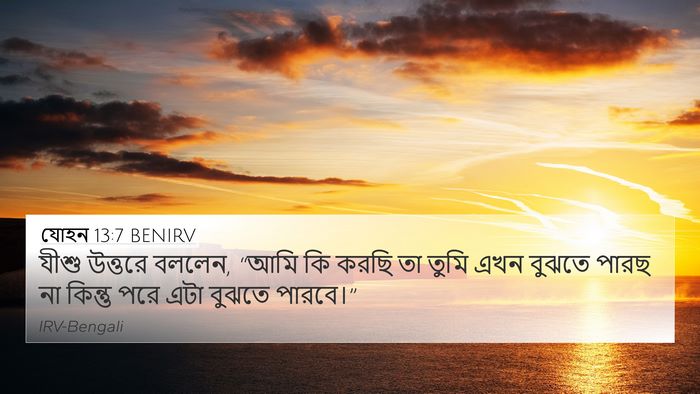 যোহন 13:7 BENIRV 4K Wallpaper - যীশু উত্তরে বললেন, - 4K Wallpaper Bible Verse
