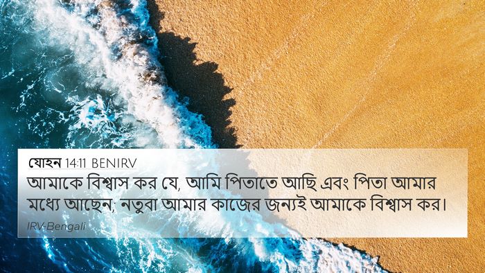 যোহন 14:11 BENIRV Bible Verse Image