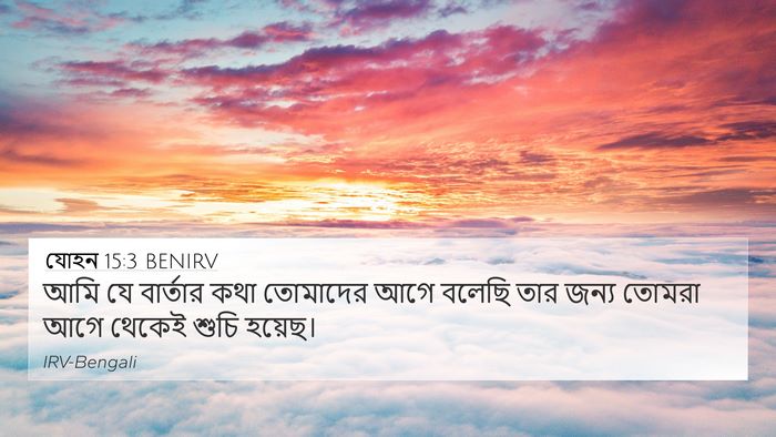 যোহন 15:3 BENIRV Bible Verse Image
