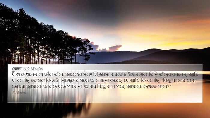 যোহন 16:19 BENIRV Bible Verse Image