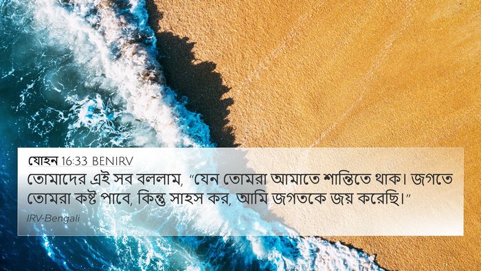 যোহন 16:33 BENIRV Bible Verse Image