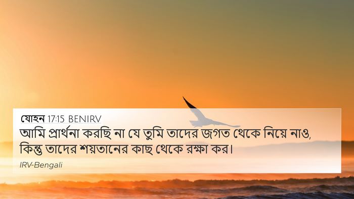 যোহন 17:15 BENIRV Bible Verse Image