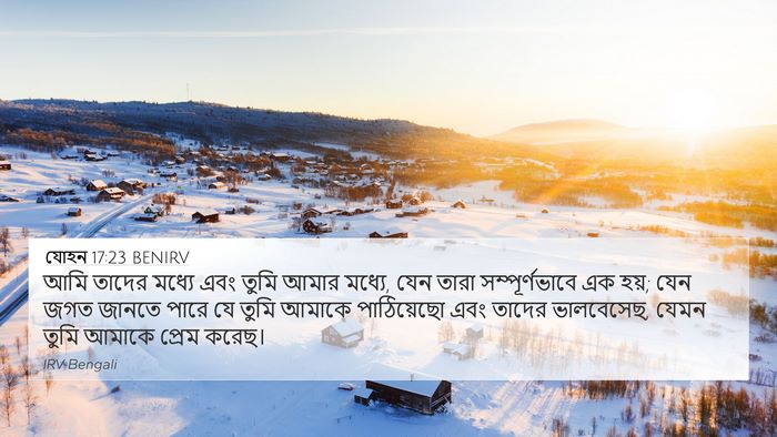 যোহন 17:23 BENIRV Bible Verse Image