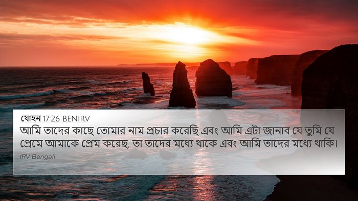 যোহন 17:26 BENIRV Bible Verse Image
