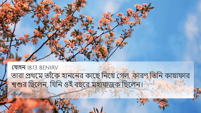 যোহন 18:13 BENIRV Bible Verse Image