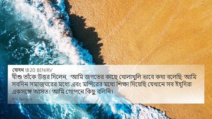 যোহন 18:20 BENIRV Bible Verse Image