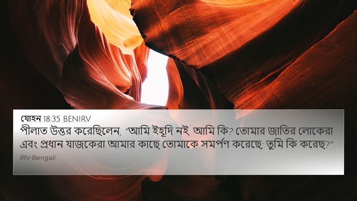 যোহন 18:35 BENIRV Bible Verse Image
