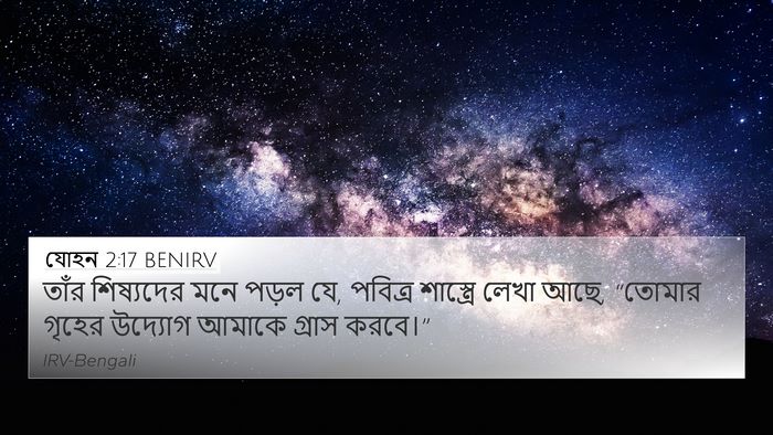 যোহন 2:17 BENIRV Bible Verse Image