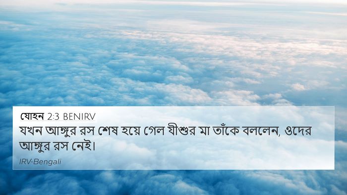 যোহন 2:3 BENIRV Bible Verse Image