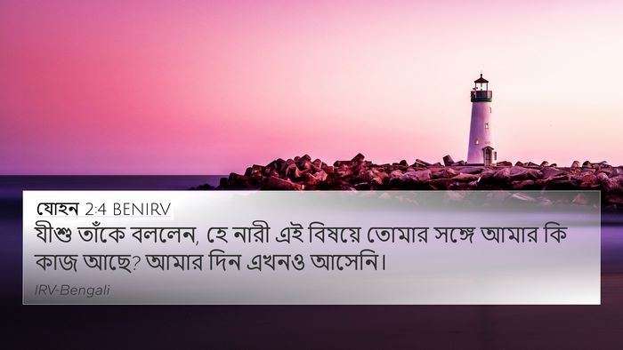 যোহন 2:4 BENIRV Bible Verse Image