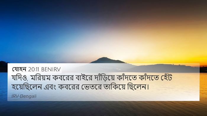 যোহন 20:11 BENIRV Bible Verse Image