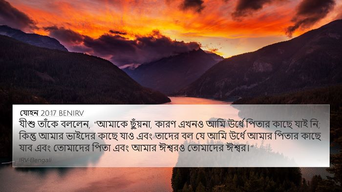 যোহন 20:17 BENIRV Bible Verse Image